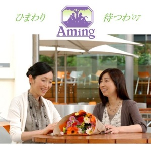 aming 2007